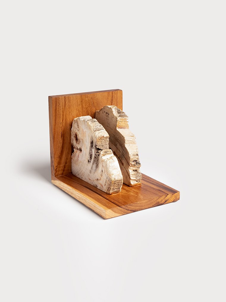 FOSSIL WOOD BOOKEND
