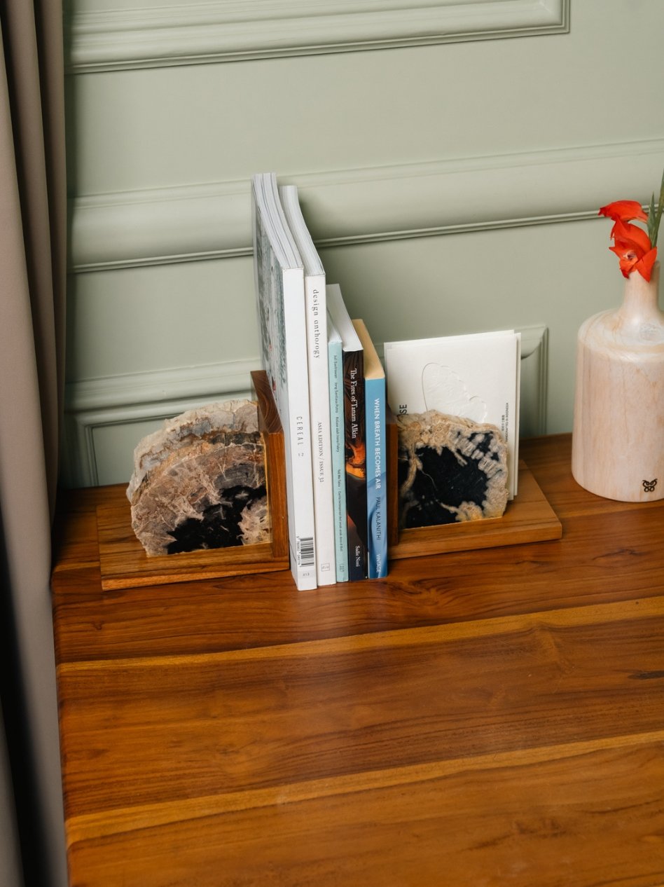 FOSSIL WOOD BOOKEND