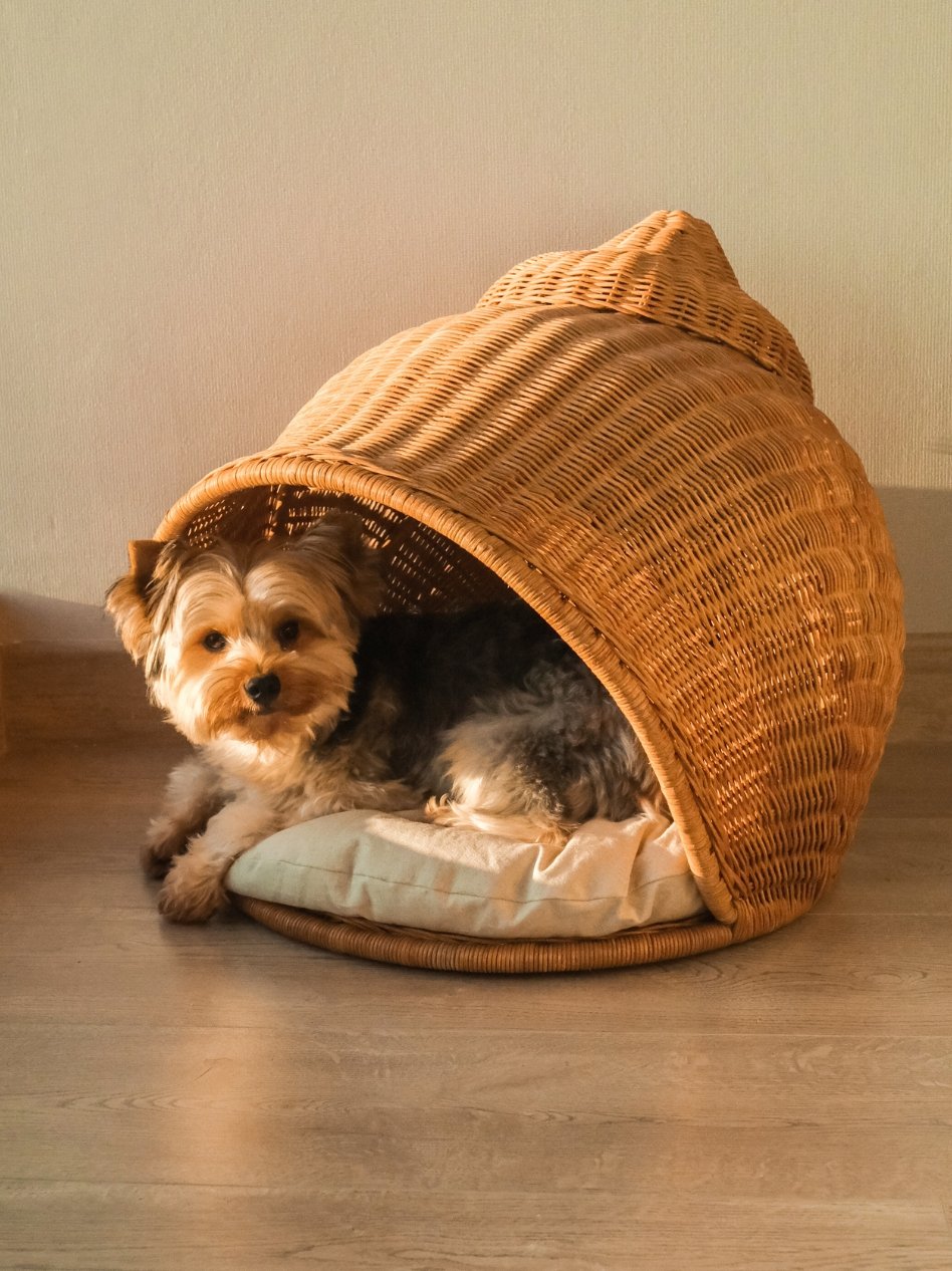 KÉONG PET BED
